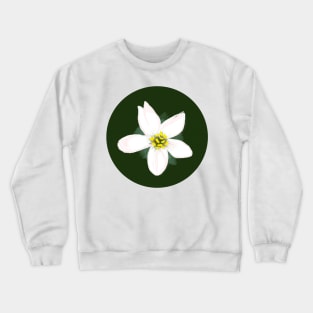 pineapple mojito Crewneck Sweatshirt